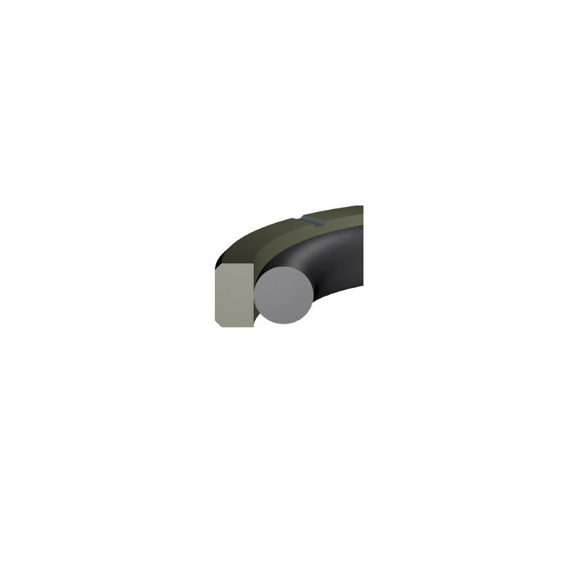 Junta PS-10 PTFE estándar 7,50x